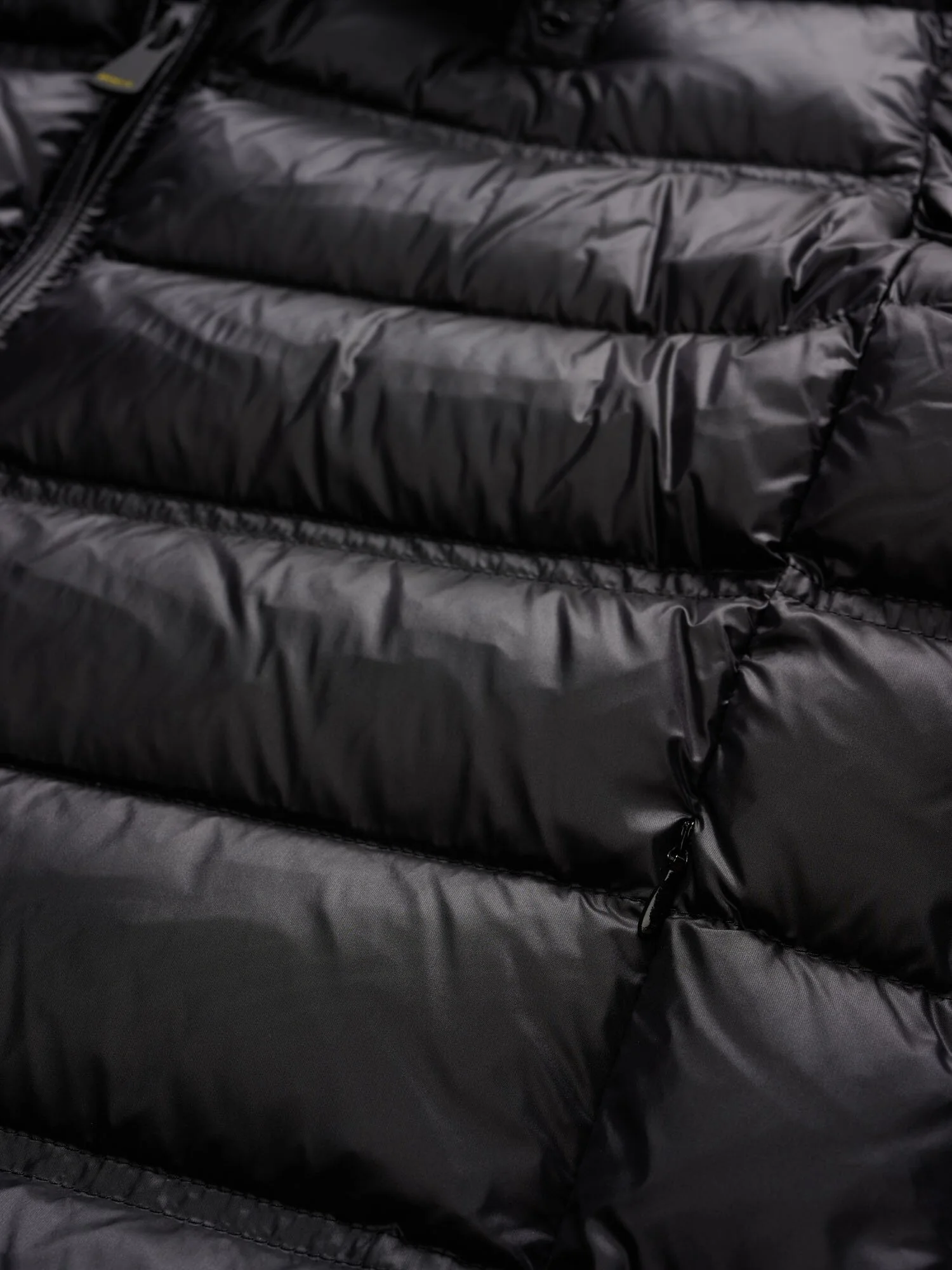 Giacca piumino senza cappuccio BELMONT