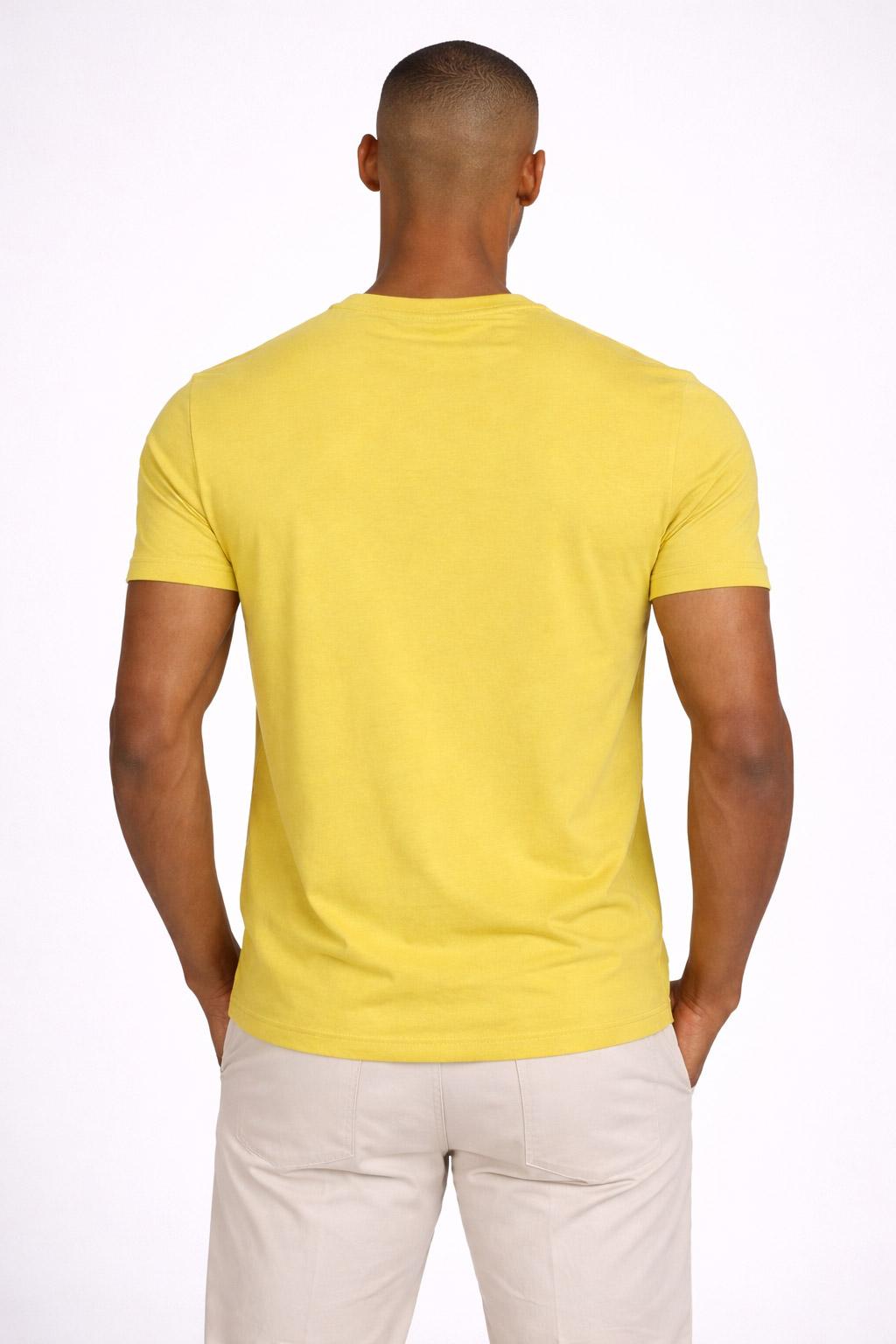 T-Shirt Uomo Cotone con logo ricamato