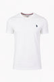 T-Shirt Uomo Cotone con logo ricamato