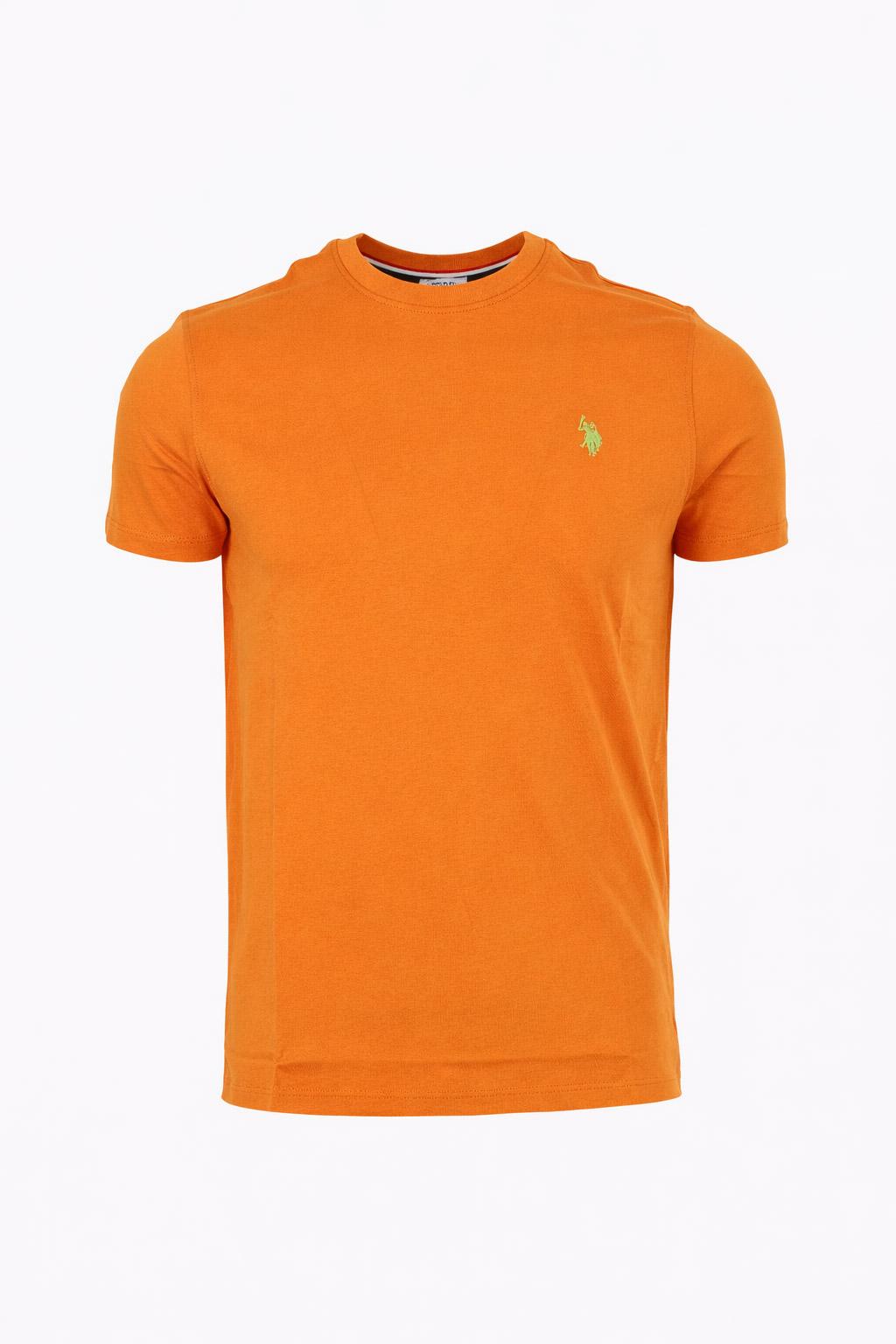T-Shirt Uomo Cotone con logo ricamato 