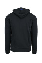 Felpa con cappuccio US Polo Assn 