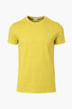 T-Shirt Uomo Cotone con logo ricamato