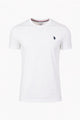 T-Shirt Uomo Cotone con logo ricamato